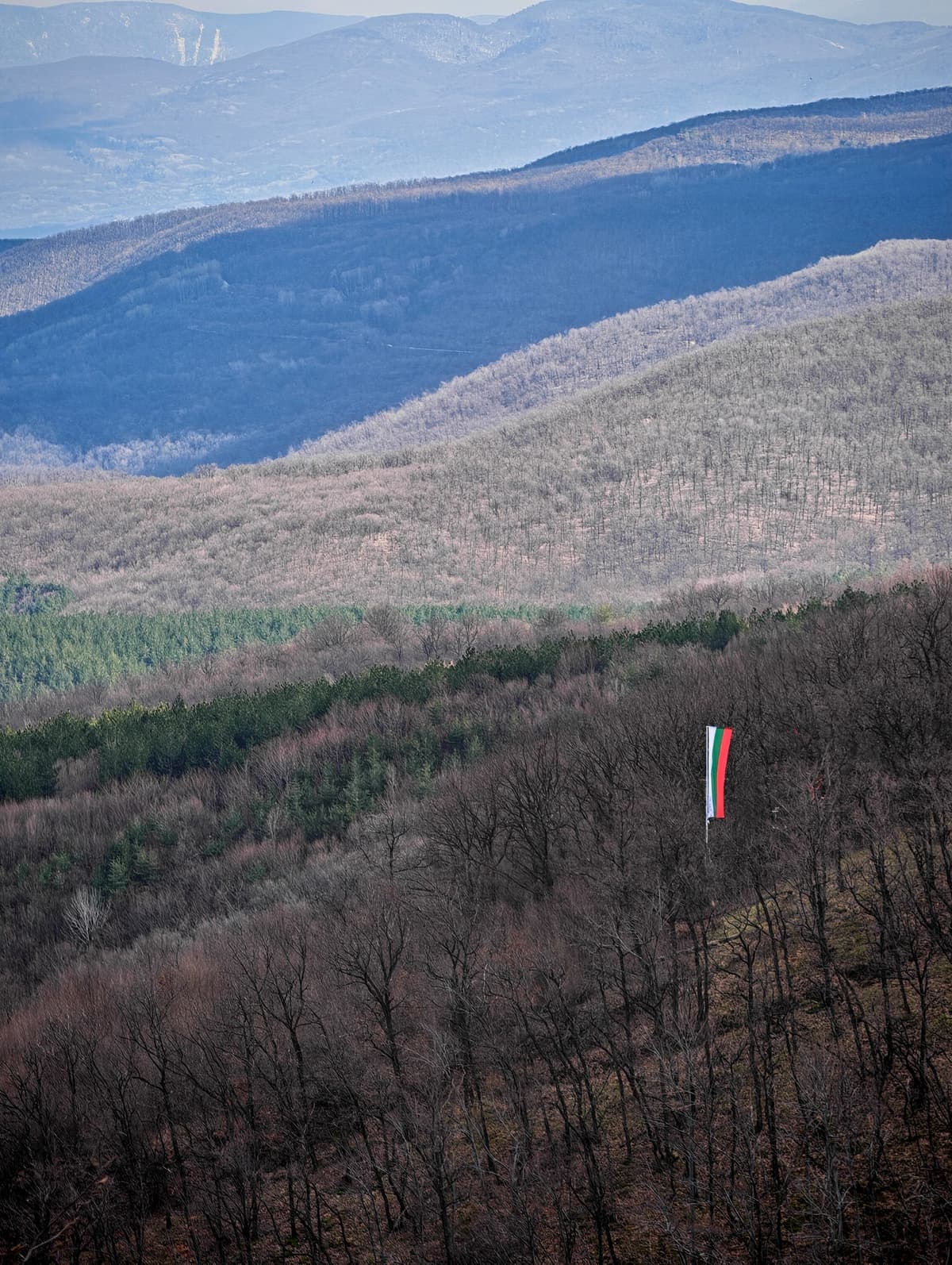 рид Къркария