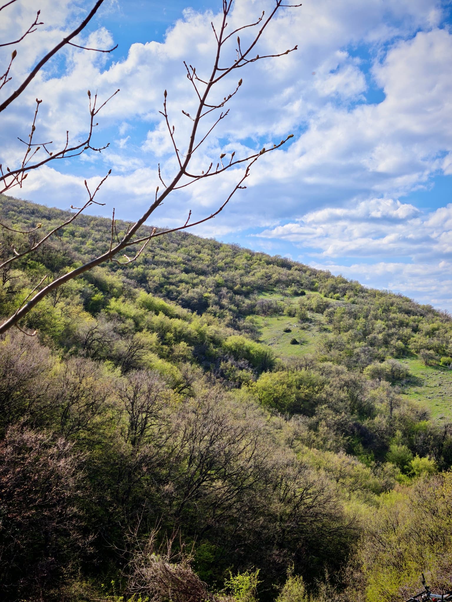 Панорама на Къркарийския рид